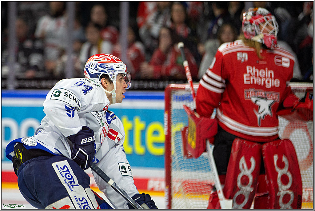 PENNY DEL; Koelner Haie- Schwenninger Wild Wings; Koeln, 18.01.2023
